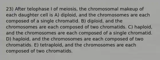 23) After telophase I of meiosis, the chromosomal makeup of each daughter cell is A) diploid, and the chromosomes are each composed of a single chromatid. B) diploid, and the chromosomes are each composed of two chromatids. C) haploid, and the chromosomes are each composed of a single chromatid. D) haploid, and the chromosomes are each composed of two chromatids. E) tetraploid, and the chromosomes are each composed of two chromatids.