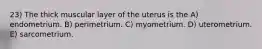 23) The thick muscular layer of the uterus is the A) endometrium. B) perimetrium. C) myometrium. D) uterometrium. E) sarcometrium.