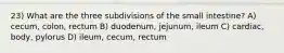 23) What are the three subdivisions of the small intestine? A) cecum, colon, rectum B) duodenum, jejunum, ileum C) cardiac, body, pylorus D) ileum, cecum, rectum