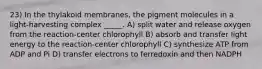 23) In the thylakoid membranes, the pigment molecules in a light-harvesting complex _____. A) split water and release oxygen from the reaction-center chlorophyll B) absorb and transfer light energy to the reaction-center chlorophyll C) synthesize ATP from ADP and Pi D) transfer electrons to ferredoxin and then NADPH