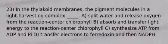 23) In the thylakoid membranes, the pigment molecules in a light-harvesting complex _____. A) split water and release oxygen from the reaction-center chlorophyll B) absorb and transfer light energy to the reaction-center chlorophyll C) synthesize ATP from ADP and Pi D) transfer electrons to ferredoxin and then NADPH