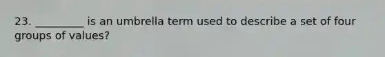 23. _________ is an umbrella term used to describe a set of four groups of values?