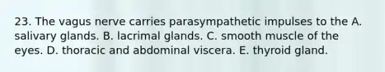 23. The vagus nerve carries parasympathetic impulses to the A. salivary glands. B. lacrimal glands. C. smooth muscle of the eyes. D. thoracic and abdominal viscera. E. thyroid gland.