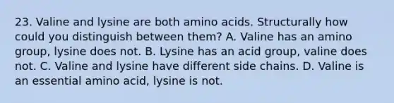 23. Valine and lysine are both <a href='https://www.questionai.com/knowledge/k9gb720LCl-amino-acids' class='anchor-knowledge'>amino acids</a>. Structurally how could you distinguish between them? A. Valine has an amino group, lysine does not. B. Lysine has an acid group, valine does not. C. Valine and lysine have different side chains. D. Valine is an essential amino acid, lysine is not.