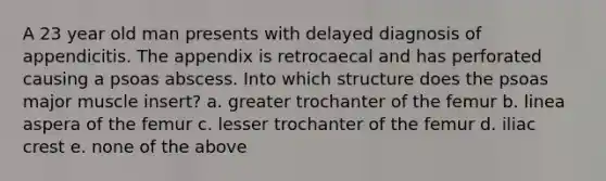 A 23 year old man presents with delayed diagnosis of appendicitis. The appendix is retrocaecal and has perforated causing a psoas abscess. Into which structure does the psoas major muscle insert? a. greater trochanter of the femur b. linea aspera of the femur c. lesser trochanter of the femur d. iliac crest e. none of the above