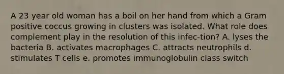 A 23 year old woman has a boil on her hand from which a Gram positive coccus growing in clusters was isolated. What role does complement play in the resolution of this infec-tion? A. lyses the bacteria B. activates macrophages C. attracts neutrophils d. stimulates T cells e. promotes immunoglobulin class switch