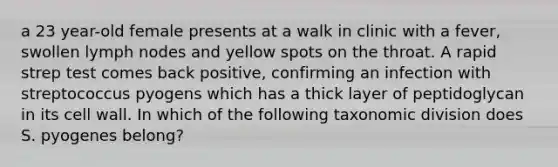 a 23 year-old female presents at a walk in clinic with a fever, swollen lymph nodes and yellow spots on the throat. A rapid strep test comes back positive, confirming an infection with streptococcus pyogens which has a thick layer of peptidoglycan in its cell wall. In which of the following taxonomic division does S. pyogenes belong?