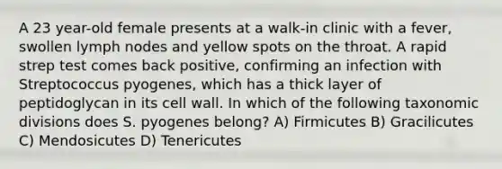 A 23 year-old female presents at a walk-in clinic with a fever, swollen lymph nodes and yellow spots on the throat. A rapid strep test comes back positive, confirming an infection with Streptococcus pyogenes, which has a thick layer of peptidoglycan in its cell wall. In which of the following taxonomic divisions does S. pyogenes belong? A) Firmicutes B) Gracilicutes C) Mendosicutes D) Tenericutes