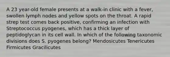 A 23 year-old female presents at a walk-in clinic with a fever, swollen lymph nodes and yellow spots on the throat. A rapid strep test comes back positive, confirming an infection with Streptococcus pyogenes, which has a thick layer of peptidoglycan in its cell wall. In which of the following taxonomic divisions does S. pyogenes belong? Mendosicutes Tenericutes Firmicutes Gracilicutes