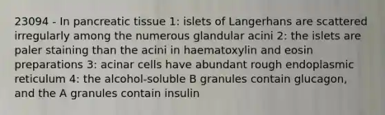 23094 - In pancreatic tissue 1: islets of Langerhans are scattered irregularly among the numerous glandular acini 2: the islets are paler staining than the acini in haematoxylin and eosin preparations 3: acinar cells have abundant rough endoplasmic reticulum 4: the alcohol-soluble B granules contain glucagon, and the A granules contain insulin