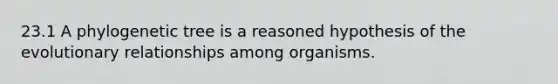 23.1 A phylogenetic tree is a reasoned hypothesis of the evolutionary relationships among organisms.