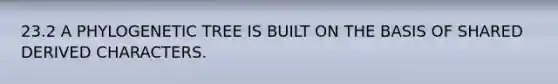 23.2 A PHYLOGENETIC TREE IS BUILT ON THE BASIS OF SHARED DERIVED CHARACTERS.