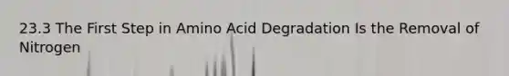 23.3 The First Step in Amino Acid Degradation Is the Removal of Nitrogen