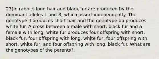 23)In rabbits long hair and black fur are produced by the dominant alleles L and B, which assort independently. The genotype ll produces short hair and the genotype bb produces white fur. A cross between a male with short, black fur and a female with long, white fur produces four offspring with short, black fur, four offspring with long, white fur, four offspring with short, white fur, and four offspring with long, black fur. What are the genotypes of the parents?,