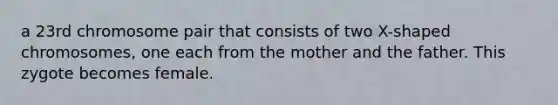 a 23rd chromosome pair that consists of two X-shaped chromosomes, one each from the mother and the father. This zygote becomes female.