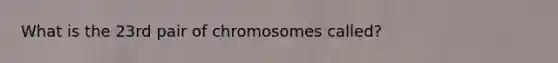 What is the 23rd pair of chromosomes called?