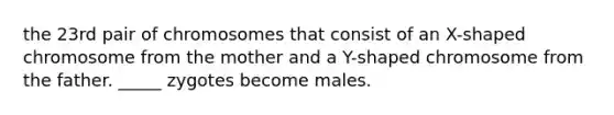 the 23rd pair of chromosomes that consist of an X-shaped chromosome from the mother and a Y-shaped chromosome from the father. _____ zygotes become males.