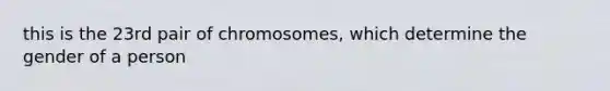 this is the 23rd pair of chromosomes, which determine the gender of a person