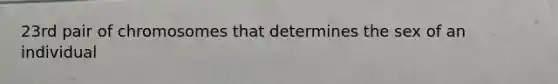 23rd pair of chromosomes that determines the sex of an individual