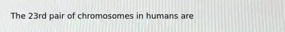 The 23rd pair of chromosomes in humans are