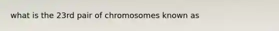 what is the 23rd pair of chromosomes known as