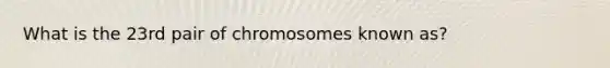 What is the 23rd pair of chromosomes known as?