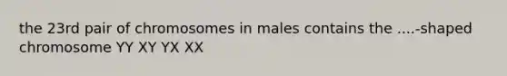 the 23rd pair of chromosomes in males contains the ....-shaped chromosome YY XY YX XX