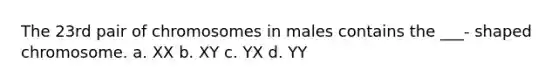 The 23rd pair of chromosomes in males contains the ___- shaped chromosome. a. XX b. XY c. YX d. YY