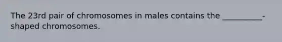 The 23rd pair of chromosomes in males contains the __________-shaped chromosomes.