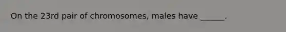 On the 23rd pair of chromosomes, males have ______.