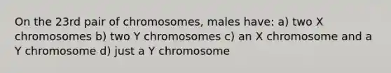 On the 23rd pair of chromosomes, males have: a) two X chromosomes b) two Y chromosomes c) an X chromosome and a Y chromosome d) just a Y chromosome