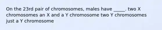 On the 23rd pair of chromosomes, males have _____. two X chromosomes an X and a Y chromosome two Y chromosomes just a Y chromosome