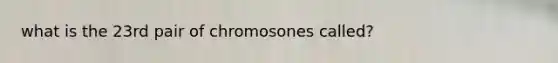 what is the 23rd pair of chromosones called?