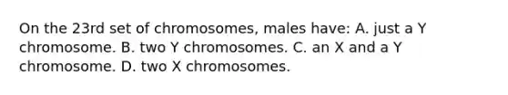 On the 23rd set of chromosomes, males have: A. just a Y chromosome. B. two Y chromosomes. C. an X and a Y chromosome. D. two X chromosomes.