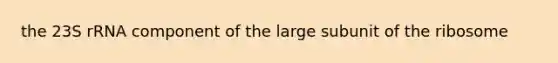 the 23S rRNA component of the large subunit of the ribosome