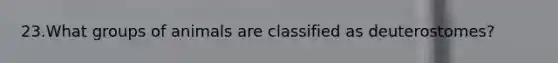 23.​What groups of animals are classified as deuterostomes?