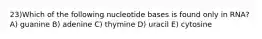 23)​Which of the following nucleotide bases is found only in RNA? ​​A) guanine ​​B) adenine​ C) thymine​ D) uracil​ E) cytosine