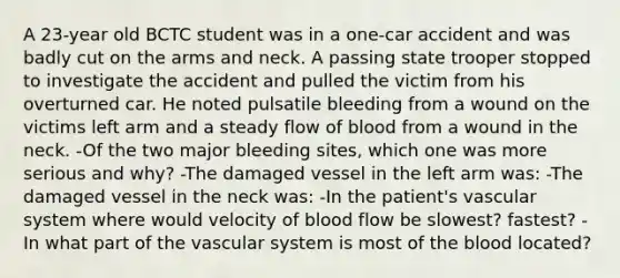 A 23-year old BCTC student was in a one-car accident and was badly cut on the arms and neck. A passing state trooper stopped to investigate the accident and pulled the victim from his overturned car. He noted pulsatile bleeding from a wound on the victims left arm and a steady flow of blood from a wound in the neck. -Of the two major bleeding sites, which one was more serious and why? -The damaged vessel in the left arm was: -The damaged vessel in the neck was: -In the patient's vascular system where would velocity of blood flow be slowest? fastest? - In what part of the vascular system is most of the blood located?