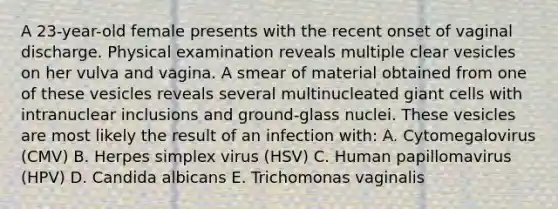 A 23-year-old female presents with the recent onset of vaginal discharge. Physical examination reveals multiple clear vesicles on her vulva and vagina. A smear of material obtained from one of these vesicles reveals several multinucleated giant cells with intranuclear inclusions and ground-glass nuclei. These vesicles are most likely the result of an infection with: A. Cytomegalovirus (CMV) B. Herpes simplex virus (HSV) C. Human papillomavirus (HPV) D. Candida albicans E. Trichomonas vaginalis