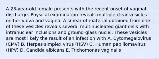 A 23-year-old female presents with the recent onset of vaginal discharge. Physical examination reveals multiple clear vesicles on her vulva and vagina. A smear of material obtained from one of these vesicles reveals several multinucleated giant cells with intranuclear inclusions and ground-glass nuclei. These vesicles are most likely the result of an infection with A. Cytomegalovirus (CMV) B. Herpes simplex virus (HSV) C. Human papillomavirus (HPV) D. Candida albicans E. Trichomonas vaginalis