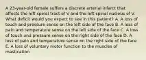 A 23-year-old female suffers a discrete arterial infarct that affects the left spinal tract of V and the left spinal nucleus of V. What deficit would you expect to see in this patient? A. A loss of touch and pressure sense on the left side of the face B. A loss of pain and temperature sense on the left side of the face C. A loss of touch and pressure sense on the right side of the face D. A loss of pain and temperature sense on the right side of the face E. A loss of voluntary motor function to the muscles of mastication