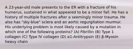 A 23-year-old male presents to the ER with a fracture of his humerus, sustained in what appeared to be a minor fall. He has a history of multiple fractures after a seemingly minor trauma. He also has "sky-blue" sclera and an aortic regurgitation murmur. His underlying problem is most likely caused by a mutation in which one of the following proteins? (A) Fibrillin (B) Type 1 collagen (C) Type IV collagen (D) α1-Antitrypsin (E) β-Myosin heavy chain