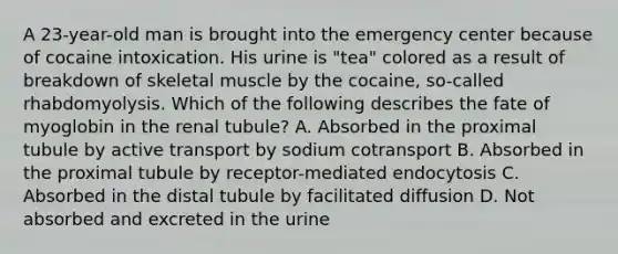 A 23-year-old man is brought into the emergency center because of cocaine intoxication. His urine is "tea" colored as a result of breakdown of skeletal muscle by the cocaine, so-called rhabdomyolysis. Which of the following describes the fate of myoglobin in the renal tubule? A. Absorbed in the proximal tubule by active transport by sodium cotransport B. Absorbed in the proximal tubule by receptor-mediated endocytosis C. Absorbed in the distal tubule by facilitated diffusion D. Not absorbed and excreted in the urine