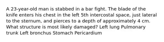 A 23-year-old man is stabbed in a bar fight. The blade of the knife enters his chest in the left 5th intercostal space, just lateral to the sternum, and pierces to a depth of approximately 4 cm. What structure is most likely damaged? Left lung Pulmonary trunk Left bronchus Stomach Pericardium