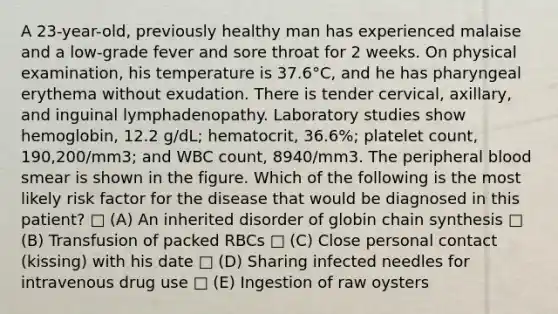 A 23-year-old, previously healthy man has experienced malaise and a low-grade fever and sore throat for 2 weeks. On physical examination, his temperature is 37.6°C, and he has pharyngeal erythema without exudation. There is tender cervical, axillary, and inguinal lymphadenopathy. Laboratory studies show hemoglobin, 12.2 g/dL; hematocrit, 36.6%; platelet count, 190,200/mm3; and WBC count, 8940/mm3. The peripheral blood smear is shown in the figure. Which of the following is the most likely risk factor for the disease that would be diagnosed in this patient? □ (A) An inherited disorder of globin chain synthesis □ (B) Transfusion of packed RBCs □ (C) Close personal contact (kissing) with his date □ (D) Sharing infected needles for intravenous drug use □ (E) Ingestion of raw oysters