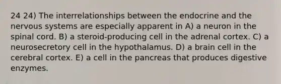 24 24) The interrelationships between the endocrine and the nervous systems are especially apparent in A) a neuron in the spinal cord. B) a steroid-producing cell in the adrenal cortex. C) a neurosecretory cell in the hypothalamus. D) a brain cell in the cerebral cortex. E) a cell in the pancreas that produces digestive enzymes.