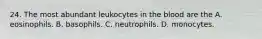 24. The most abundant leukocytes in the blood are the A. eosinophils. B. basophils. C. neutrophils. D. monocytes.