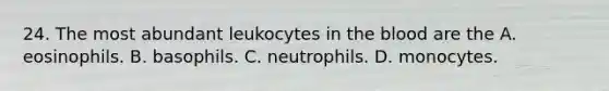 24. The most abundant leukocytes in the blood are the A. eosinophils. B. basophils. C. neutrophils. D. monocytes.