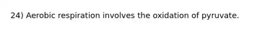 24) Aerobic respiration involves the oxidation of pyruvate.