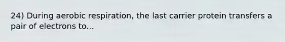 24) During <a href='https://www.questionai.com/knowledge/kyxGdbadrV-aerobic-respiration' class='anchor-knowledge'>aerobic respiration</a>, the last carrier protein transfers a pair of electrons to...
